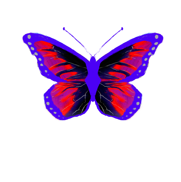 Butterfly Art